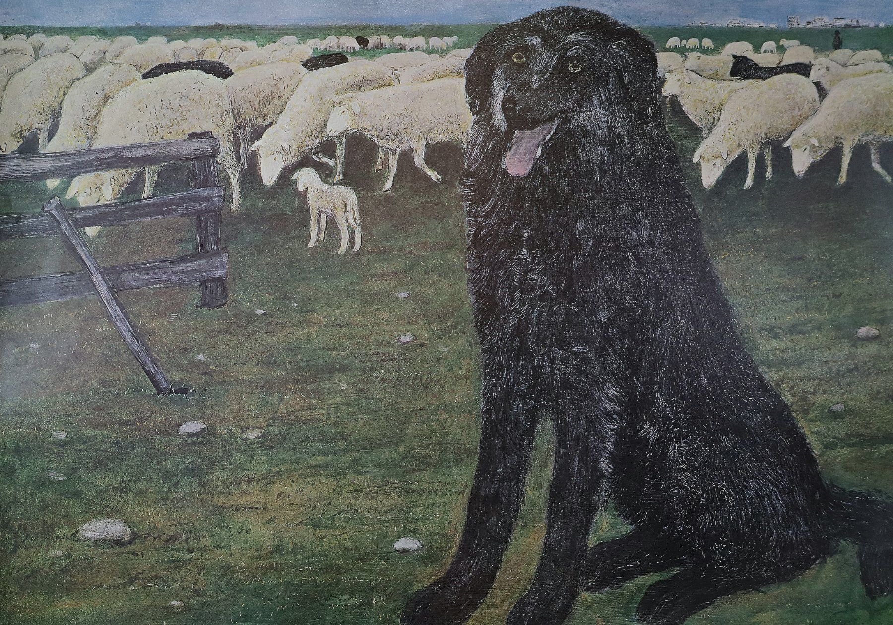 Foto & Immagini: Schulwandbild "Hund" Peter Bergmann – Usato da Birrwil venduto da brandschatz_birrwil