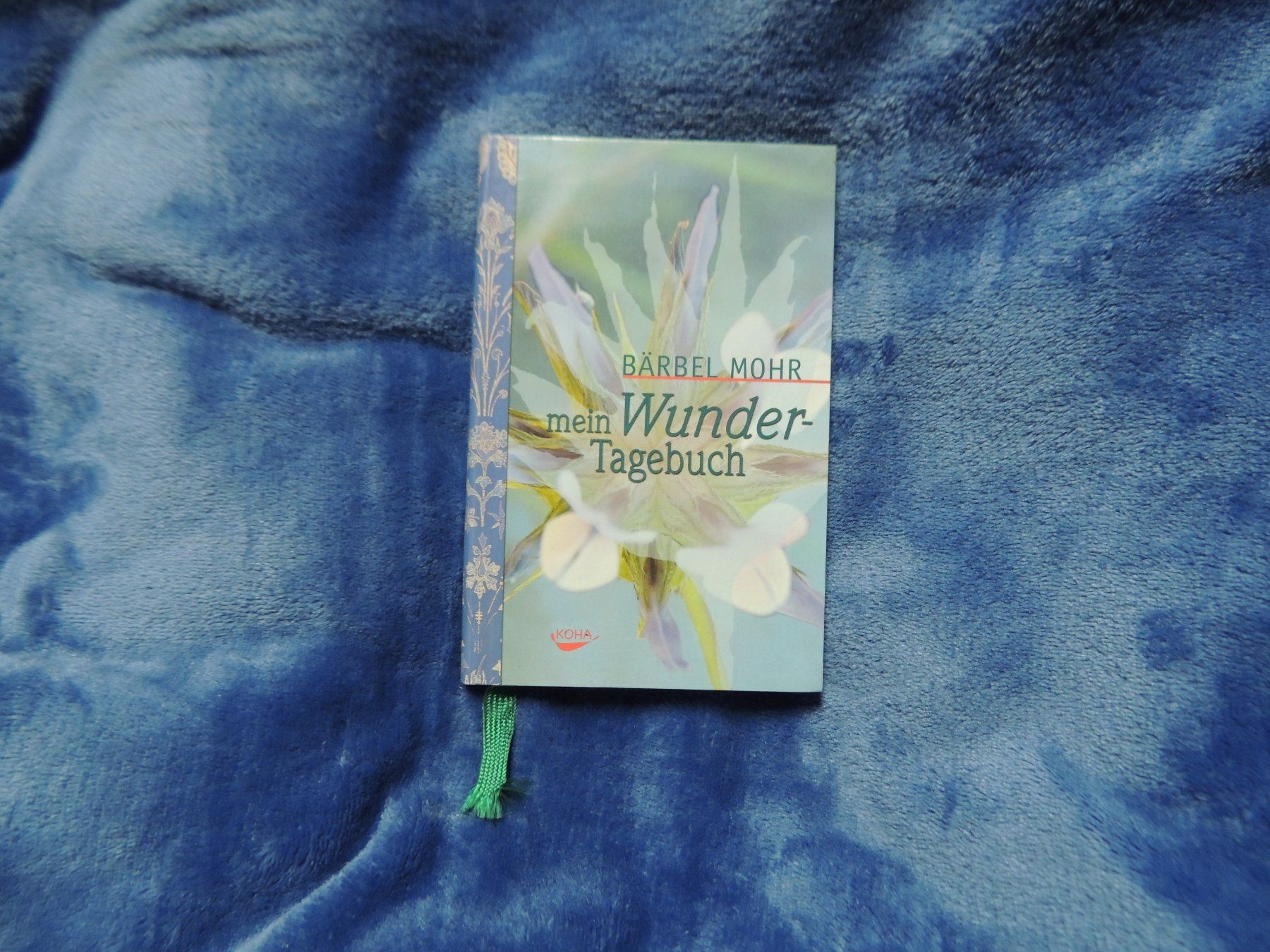 Libri: Mein Wunder Tagebuch – Usato da Mollis venduto da Hg