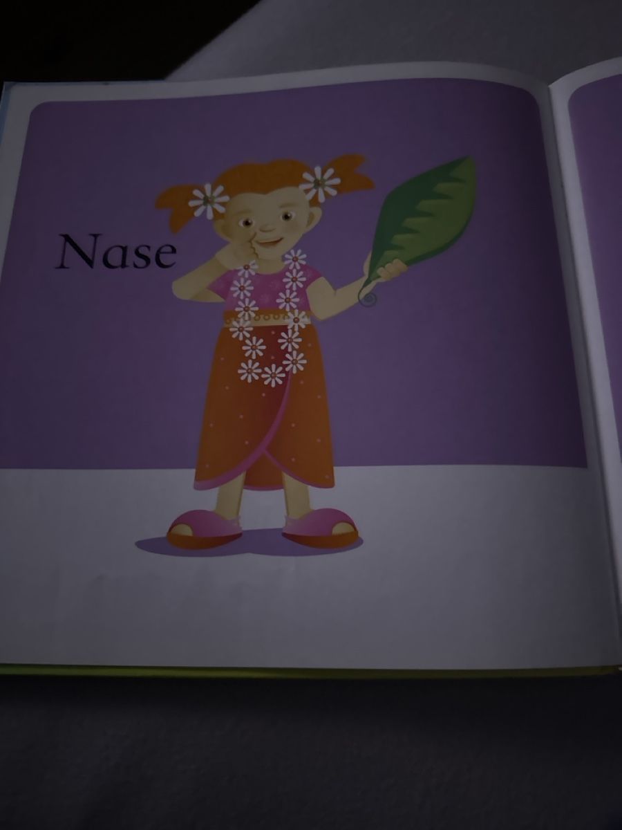 Livres: Mein erstes ABC  - Kinderbuch – D'occasion à Grosswangen par Bernadette2020 1