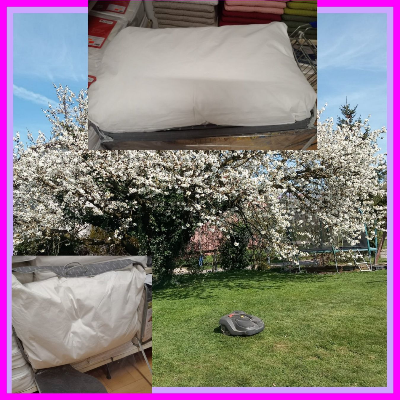 Kissen: Coussin literie1450gr.Meilleure qualité – Neu und originalverpackt aus Payerne von jea_m6nb 5