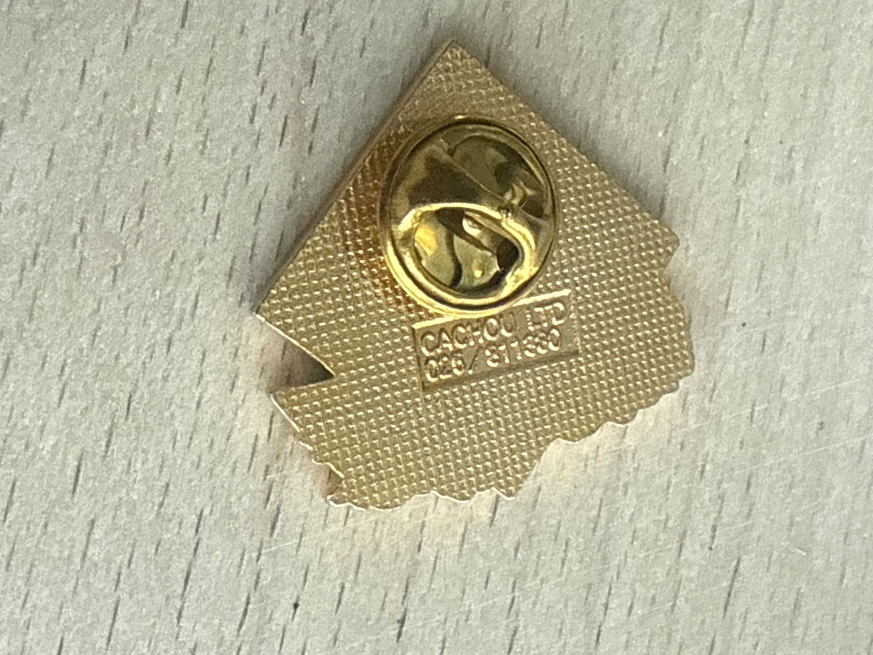 Placchette & Badge: Pin CGN Schiff Leman – Usato da Glattbrugg venduto da Schweigmatt 1