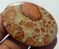Cabochon L-6924 – Kaffeebohnen Jaspis 41X30X6MM 61.50 Karat