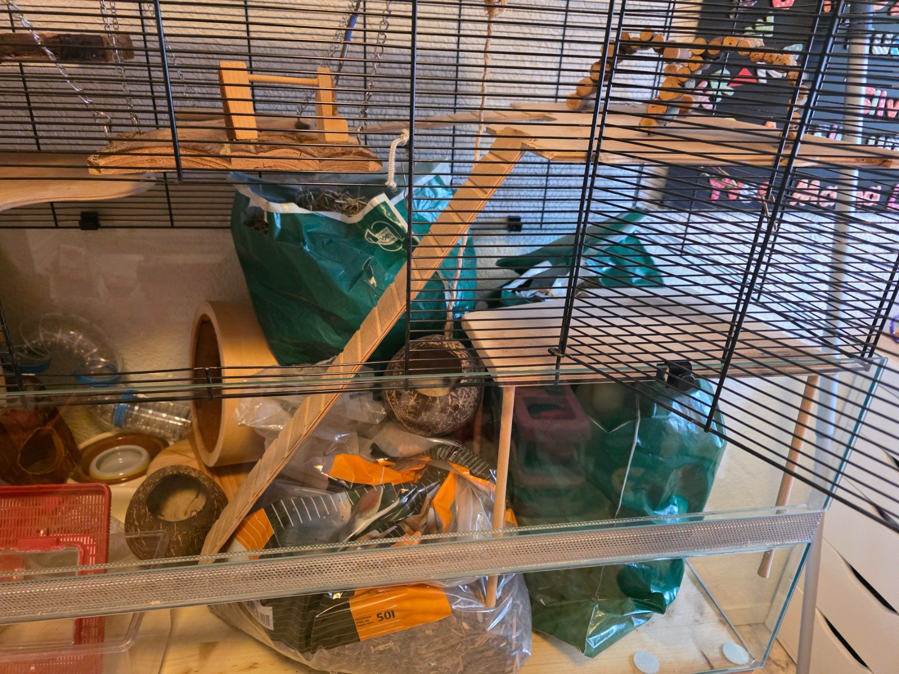 Cages, transport & sécurité: Mäuse Käfig – D'occasion à Otelfingen par The_crow81 6