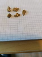 Goldnugget