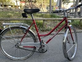 Kindervelo Mädchen Traveller