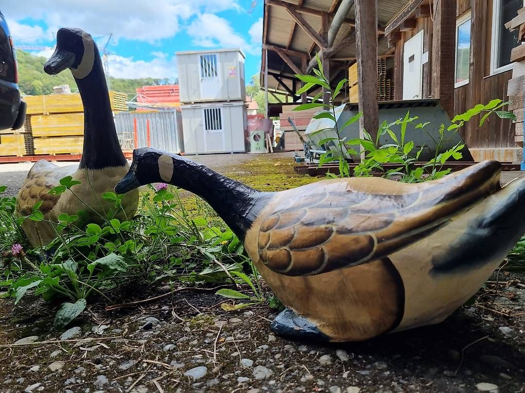 Statuette: 2 lustige, dekorative Enten aus pappmache – Usato da Mumpf venduto da ivd_y8hf