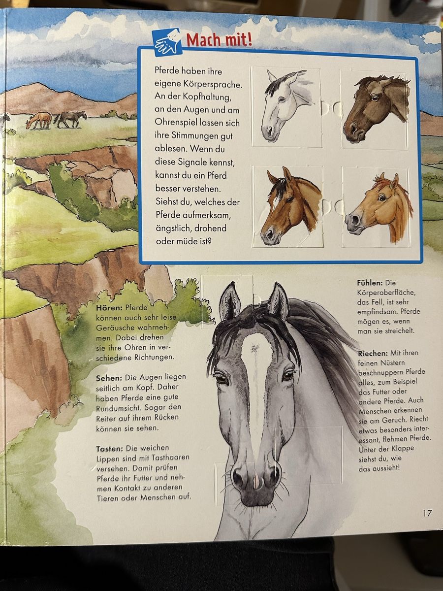 Libri: Was ist was Junior Pferde und Ponys Buch – Usato da Busswil venduto da billib 2