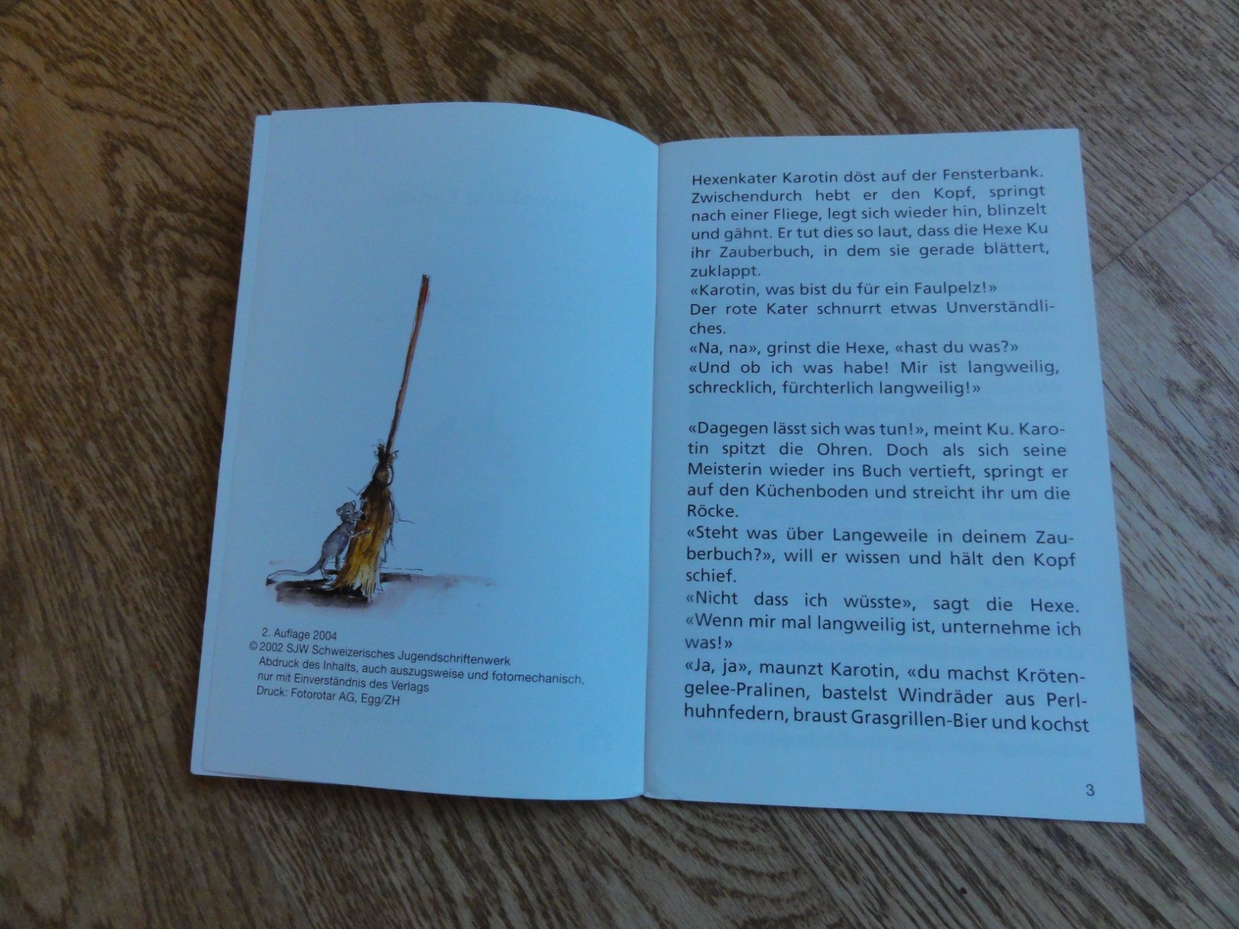 Libri: SJW: Hexenkater Karotin will nach Amerika – Usato da Riedholz venduto da Taweva 2