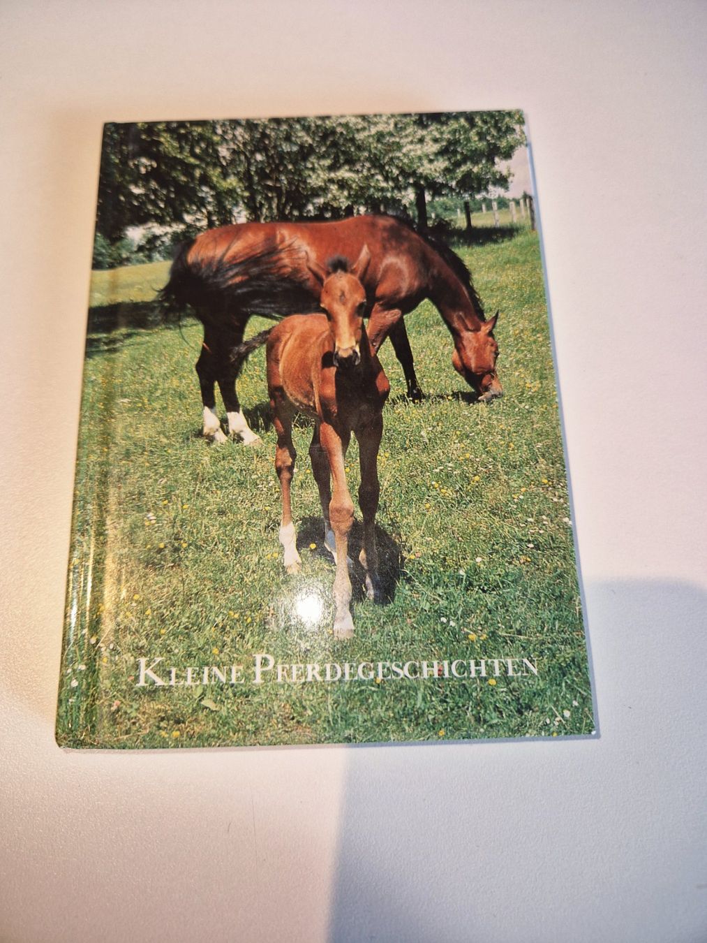 Libri: Buch kleine Pferdegeschichten – Usato da Stüsslingen venduto da white_angel86