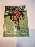 Buch kleine Pferdegeschichten