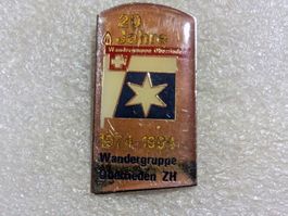 Ansteckpin 225: Wandergruppe