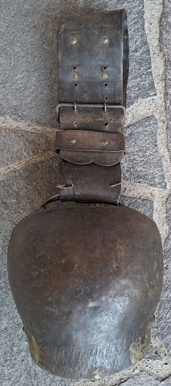 Campanacci mucche: Alte Kuhglocke mit Lederriemen. – Usato da Pfäffikon ZH venduto da enderby01