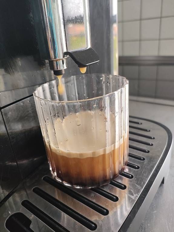 De'Longhi Macchine per caffè & Macchine per espresso: De Longhi Magnifica EVO – Usato da Weiningen TG venduto da NumisBila 4