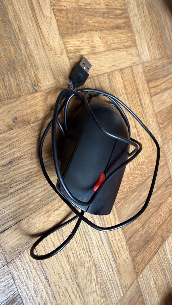 Lenovo Mouse: Maus lenovo schwarz USB – Usato da Zürich venduto da jas_lk8w