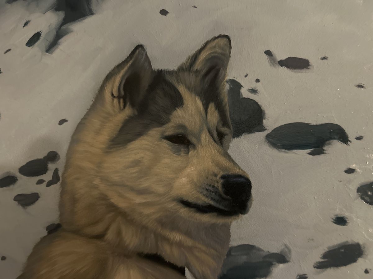 Dipinti: Gemälde "Hund im Schnee" von Gerasak, 1997, Original – Usato da Glarus venduto da KunstWerkEr-LS87 2