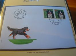 Abart Berner Sennenhund FDC, 2007, Zähnung