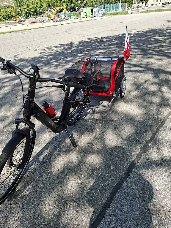 Anhänger: Remorque à vélo transport animaux – Gebraucht aus Martigny von ger_g7dh 3