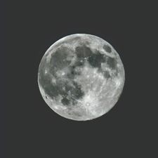Profile image of alb_mtq8