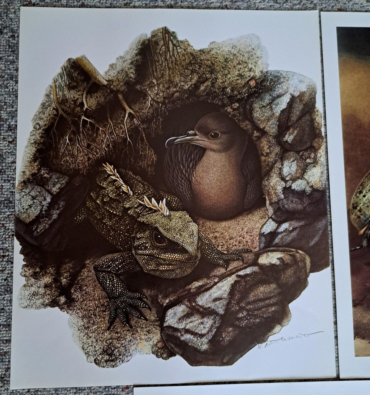 Foto & Immagini: Walter Linsenmaier, CH-Künstler, 3 Tierbilder, Kunstdrucke – Usato da Basel venduto da Patiscat 1