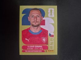 Panini WM 26 CZE 5