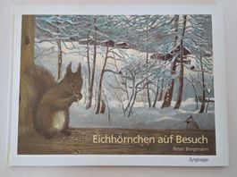 Peter Bergmann - Eichhörnchen auf Besuch / Bilderbuch