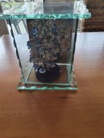 Dekoration: Glücksbaum mit Glas-Sockel