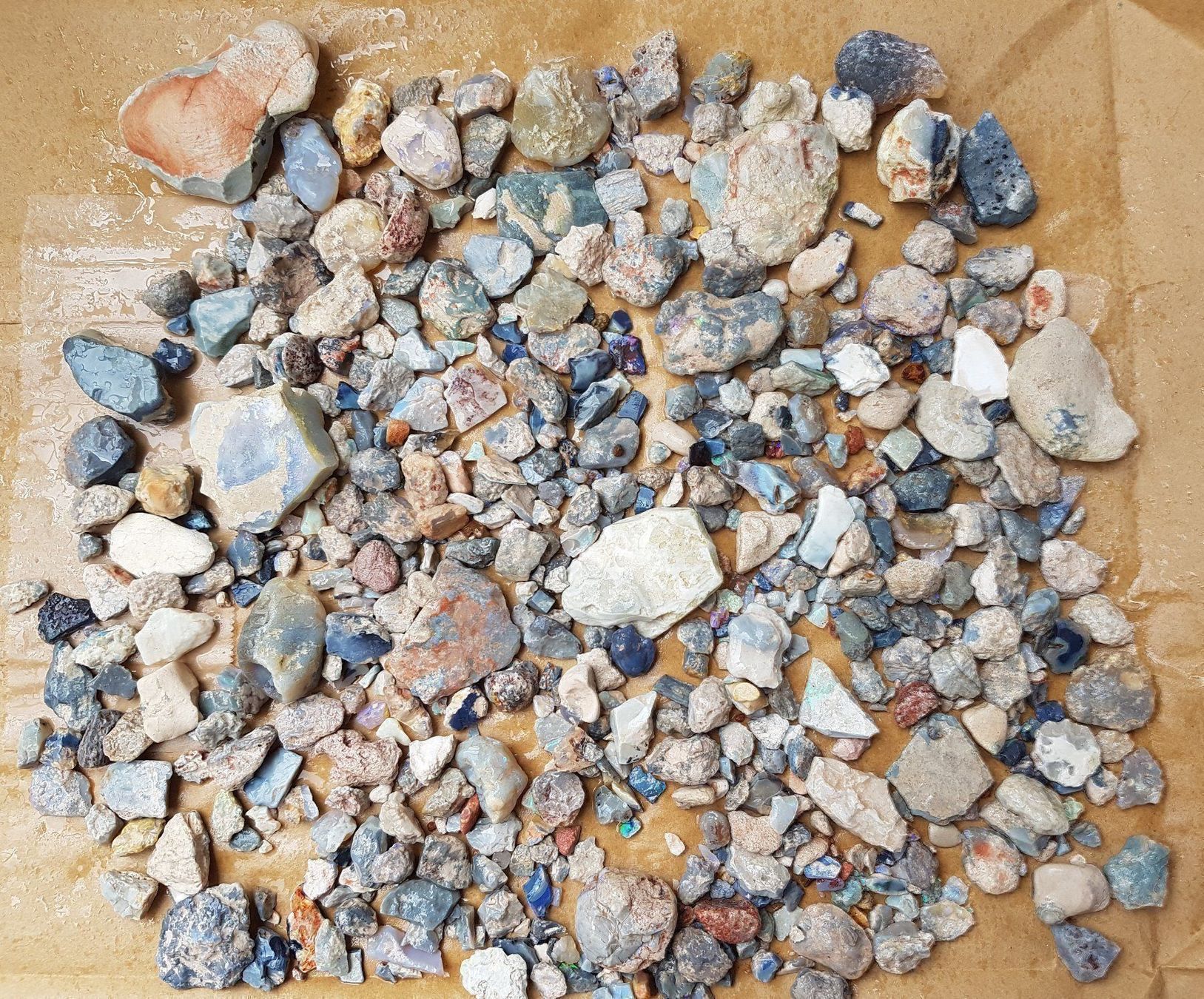 Pietre preziose: Schwarze Opal aus Australia – Nuovo e nell'imballaggio originale da zuerich venduto da Jewlsdesign 9