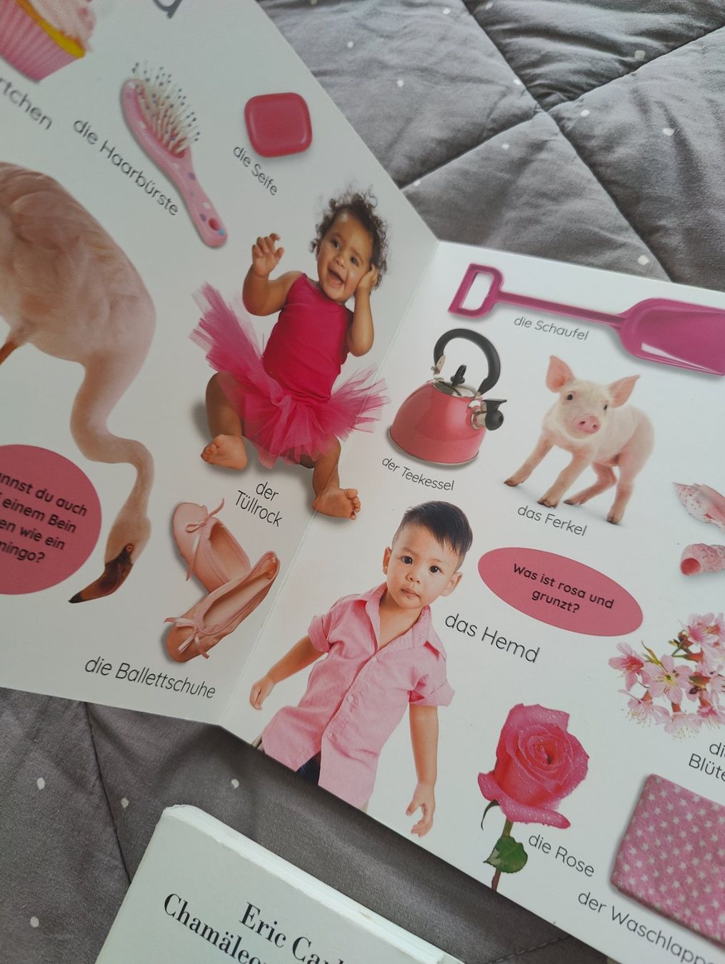 Libri: Kinderbücher: Lovevery, etc – Usato da Zürich venduto da sof_f2ts 1