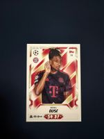 Olise Bayern München Champions League 2026/27