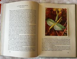 Tiere aus aller Welt, Silva-Album 1947, vollständig, deutsch