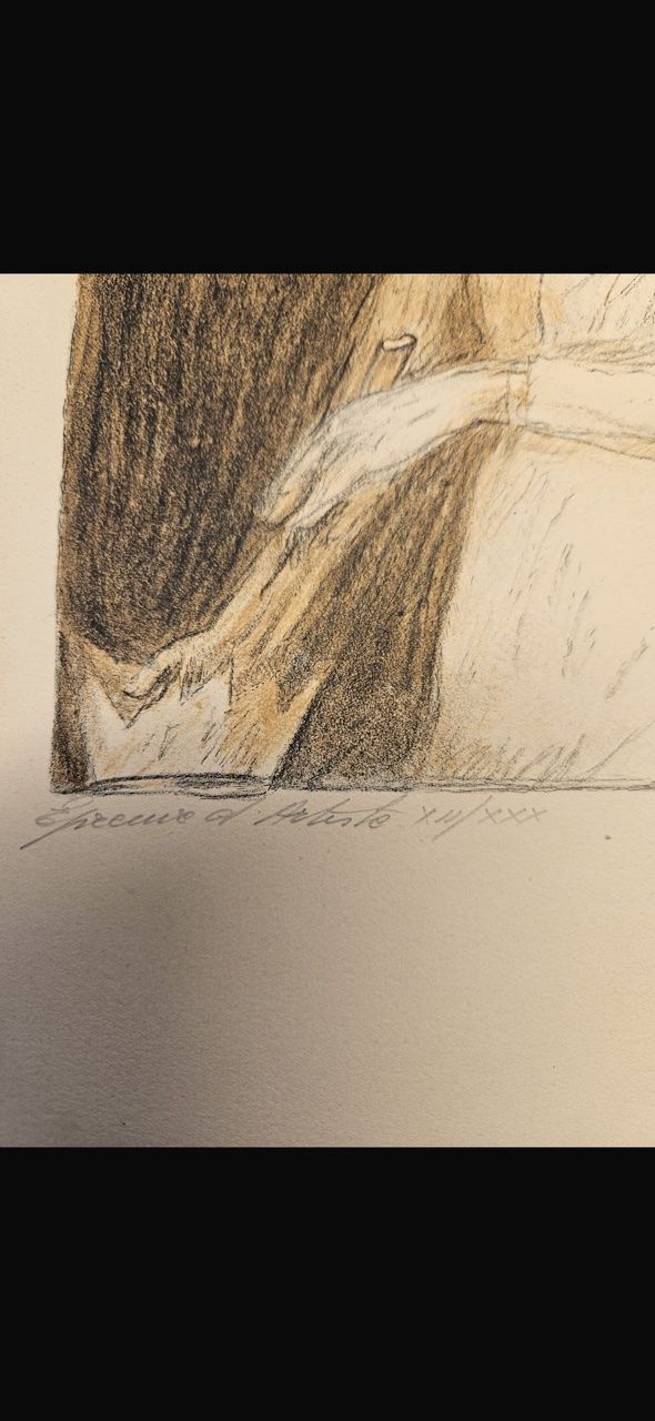 Grafiken & Lithographien: lithographie l'Ombrelle – Gebraucht aus chatonnaye von lebizu 2