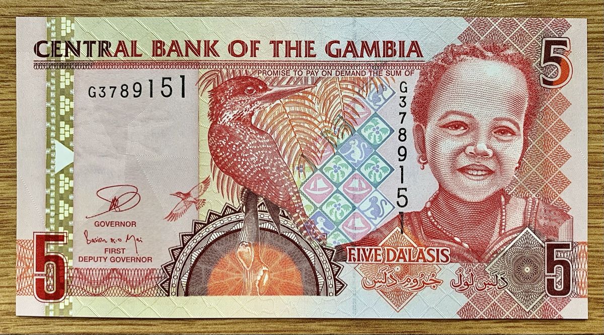 Banknoten: 5 Dalasis Gambia 2013!!! UNC!!! – Neu (gemäss Beschreibung) aus Oberentfelden von NunoLouro
