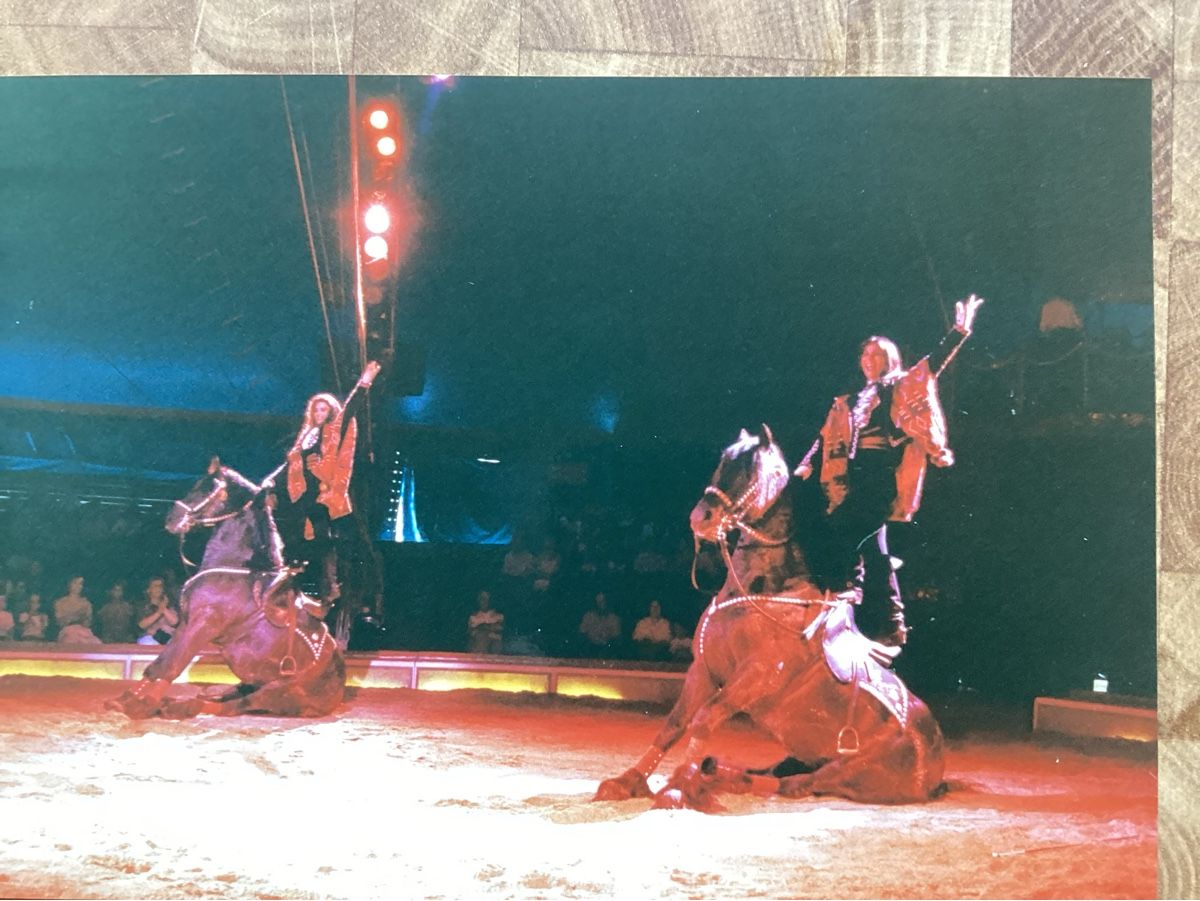 Poster & Bilder: Circus Knie Foto 1990 – Gebraucht aus Reichenbach i. K. von astra2010