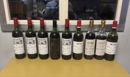 Lot Rotwein 9 stk. 