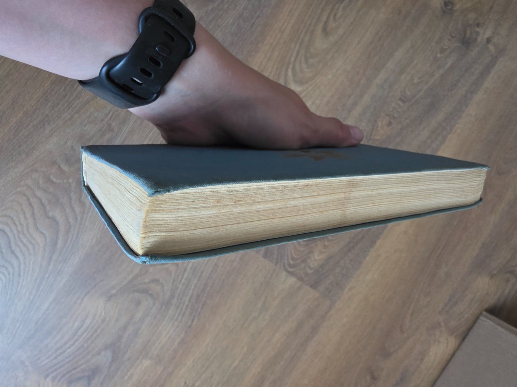 Bücher: Gedichte - Lehrmittel (1961) – Gebraucht aus Nebikon von Japostyle_2 3