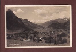 SAANEN - 19331