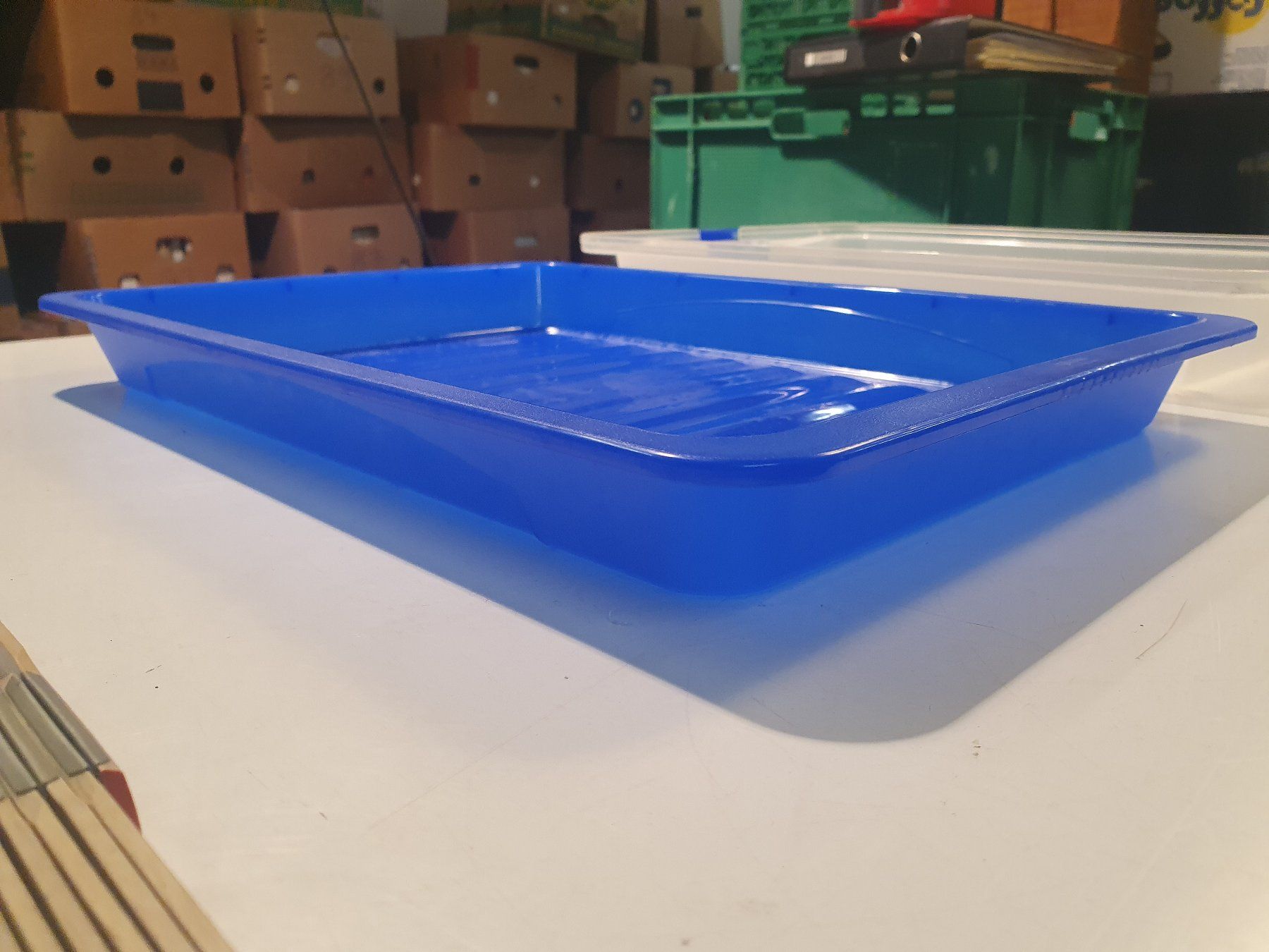Rotho Contenitori & Simili: M-Rotho Keksbox – Usato da Zürich venduto da loosebone 3