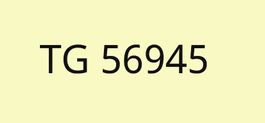 Kontrollschild TG 56945