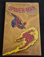 SPIDERMAN TEAM UP 1972-1973 L'INTEGRALE MARVEL VINTAGE BD FR