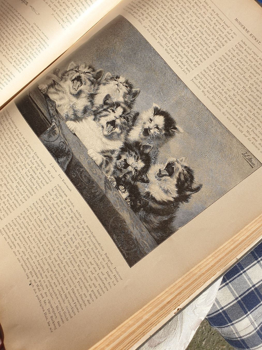 Libri: antikes Kunstbuch A3 gross – Usato da Rebstein venduto da AntikesundKrempel 5