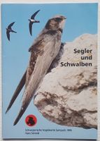 Segler und Schwalben in der Schweiz (1995)