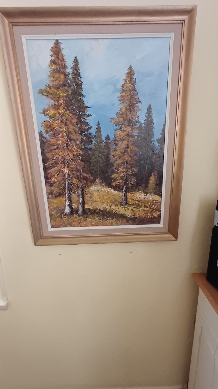 Dipinti: Schönes Naturbild Handgemalt  – Usato da Flawil venduto da Pinkmalibu