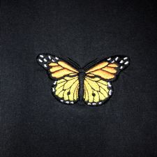Profile image of arianope