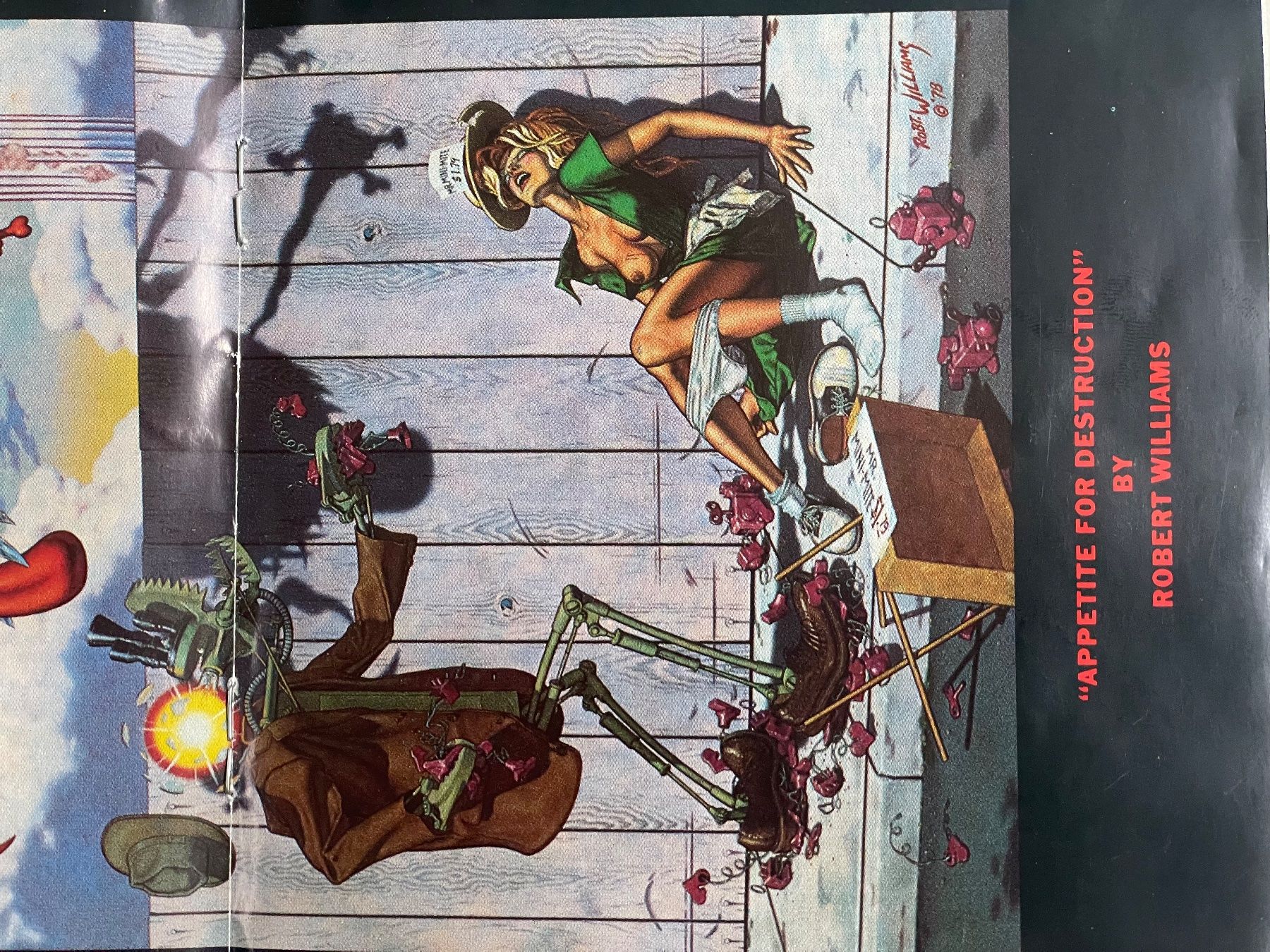 CD: Guns N' Roses - Appetite For Destruction – Usato da Muri b. Bern venduto da AdidasCollector 2