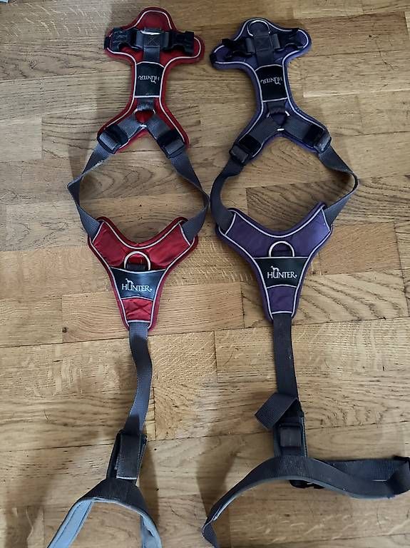 Kletterausrüstungen: Harnais Hunter Divo taille L – Gebraucht aus Pully von mid_sdf2