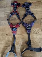 Harnais Hunter Divo taille L