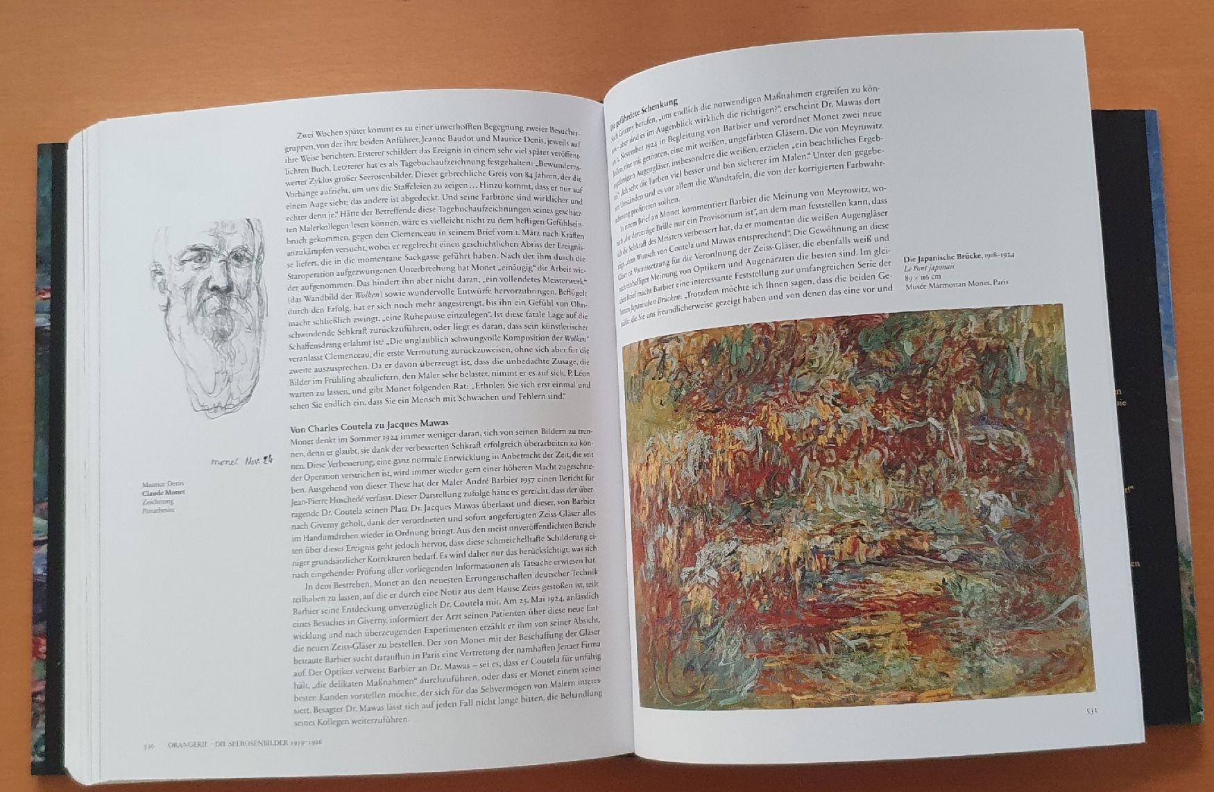 Libri: Monet - Der Triumph des Impressionismus: Grosser Bildband – Usato da Kreuzlingen venduto da Rschweiz1 8