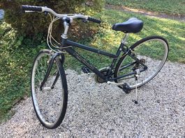 Vélo RIDGEBACK VELOCITY 🇬🇧 Citybike & Roadbike pour Dame