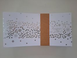 20 qualitäts Weihnachtskarten Frohe Festtage silber neu