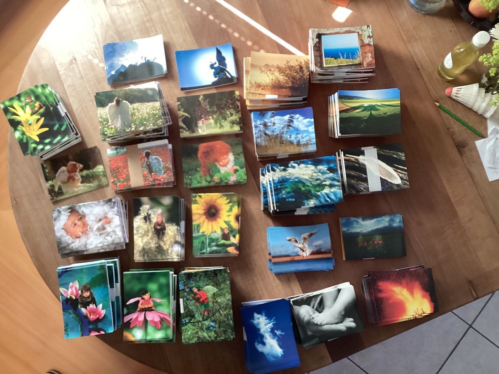 12 Postkarten MIX-Set - Verschiedene Natur- Und Tiermotive, DIN A6, Hochglanz Vorne, Matt Hinten